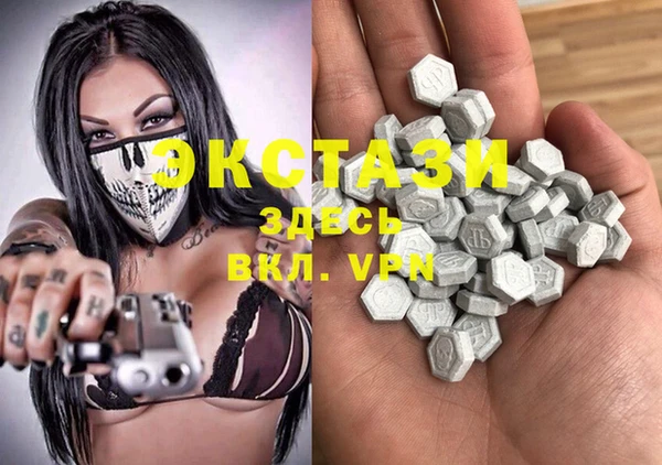 сатива Горняк