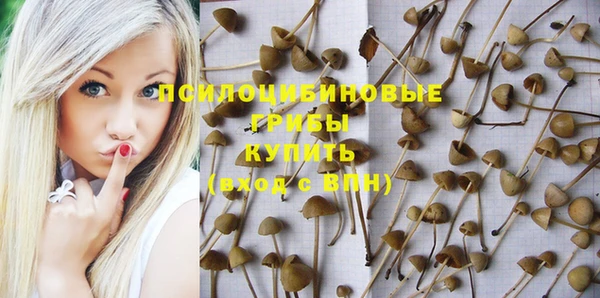2c-b Верхний Тагил
