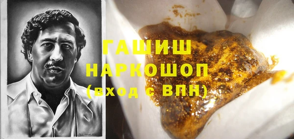 сатива Горняк