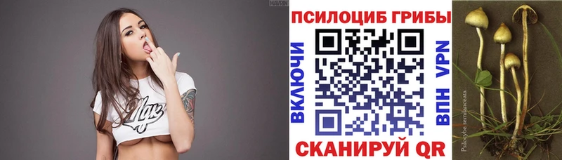 Галлюциногенные грибы Magic Shrooms  Ершов 